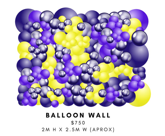 Storms Balloon Wall Backdrop