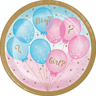 Snack Plates Gender Reveal Boy/Girl