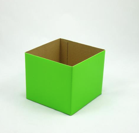 Mini Gloss Posy Box Lime Green