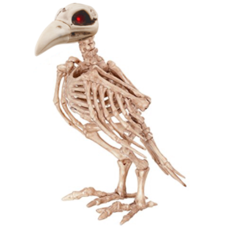 Crow Skeleton with Light Up Eyes