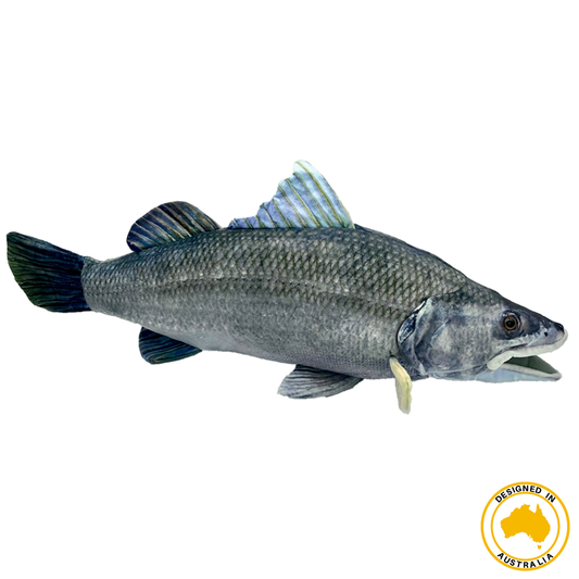 Barry Barramundi