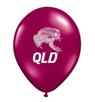 QLD State of Origin Balloons Pk 25