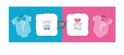 Giant party Banner Little Miss Little Man