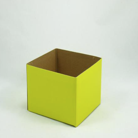 Mini Gloss Posy Box Yellow