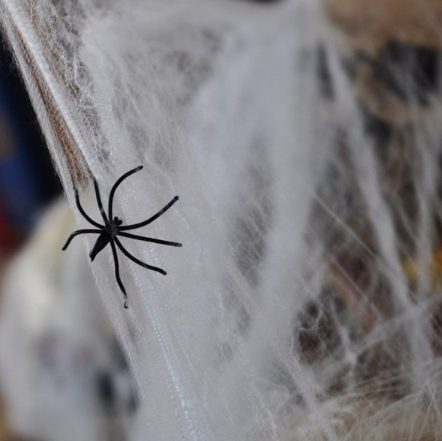 Cobweb with Spiders 56g