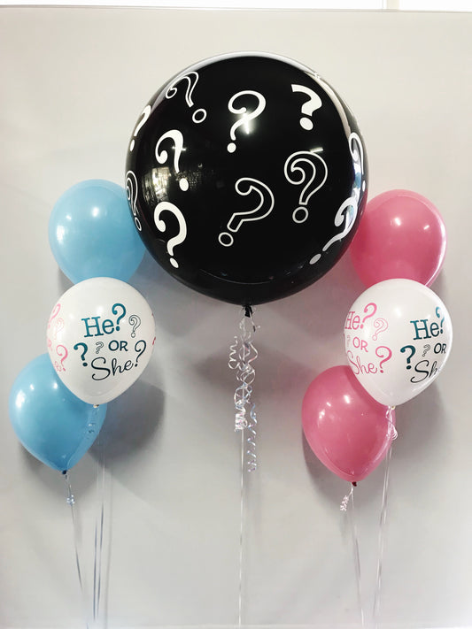 Gender Reveal Set - Classic