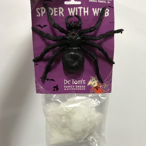 Spiderweb with huge spider
